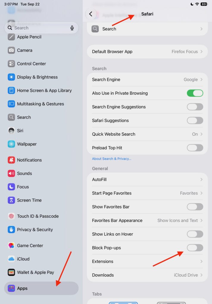 Screenshot of Safari settings on iPad